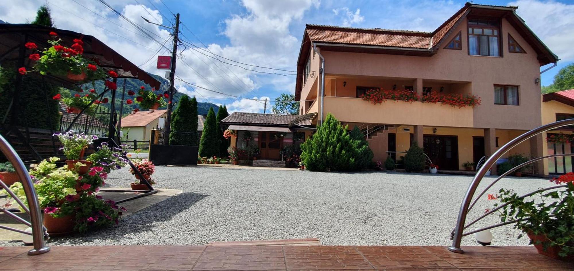 Hotel Pensiunea Apuseni Vidra  Exterior foto