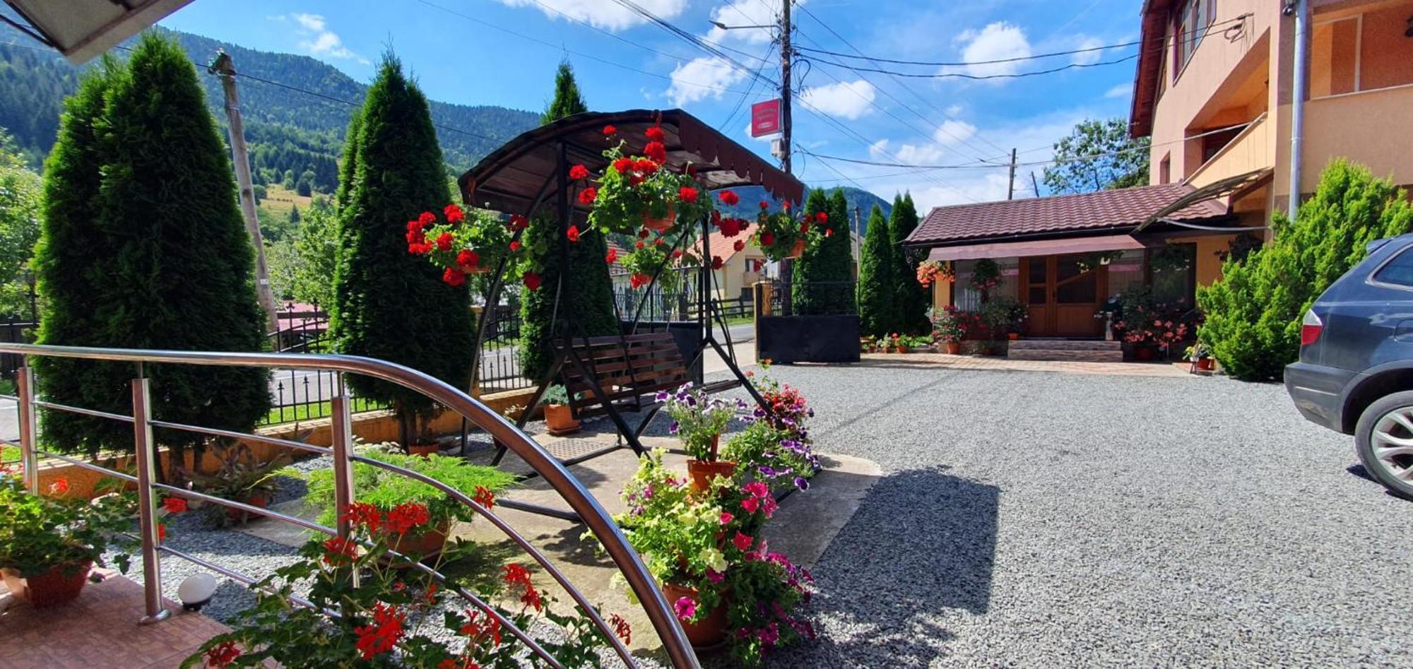 Hotel Pensiunea Apuseni Vidra  Exterior foto